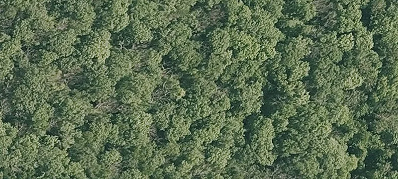 Southern Berkshires Farm Sanctuary