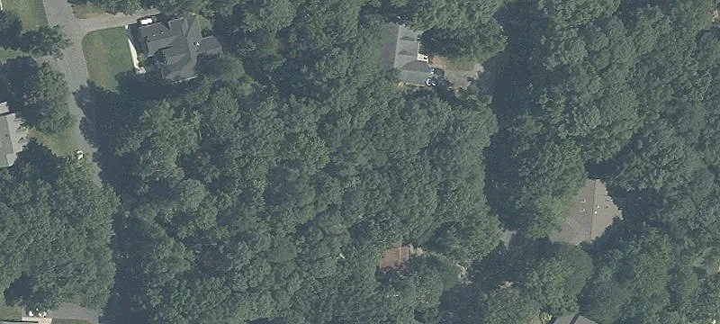 Residential Lot in Swan Point