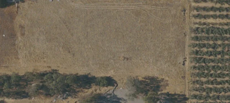 Productive Orchard on Fenced Land