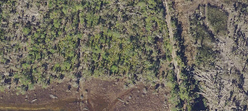 Agricultural Land Near Gulf Coast
