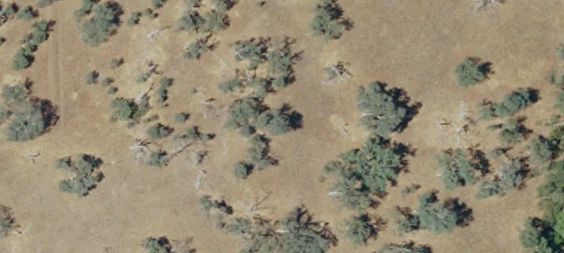 10 Acres in Fresno County