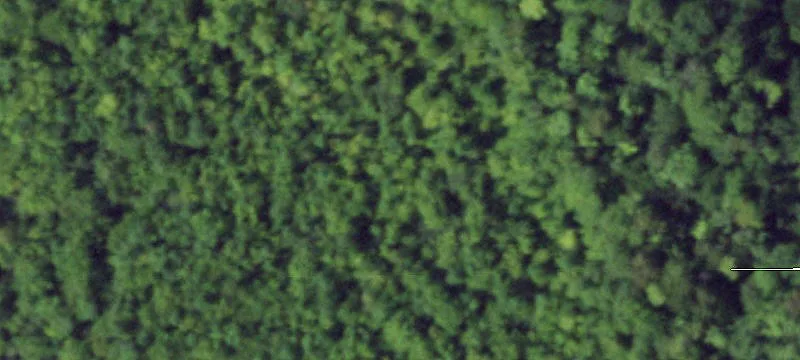 Scriba Land Parcel For Sale