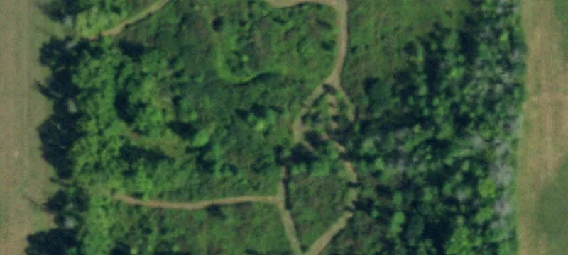 Almost 20 Acres Vacant Land