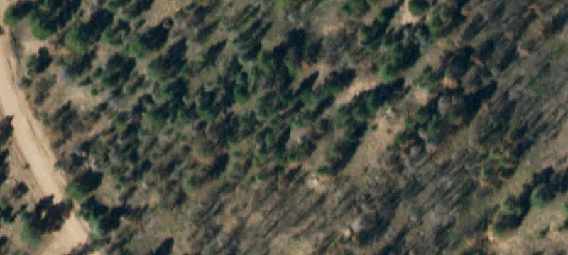 Mountain Home Site in Forbes Park