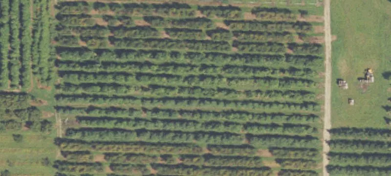 Fruit Farm with Cold Storage