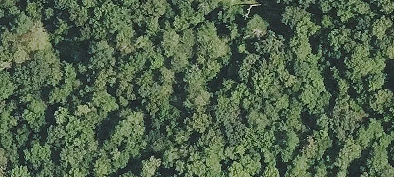 6.85 Acres of Land