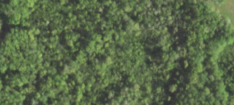 Undeveloped Land Backing Game Reserve