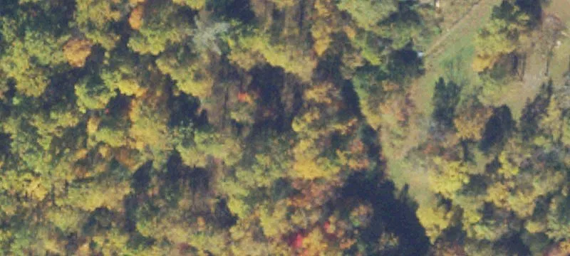 Madison County Wooded Homesite