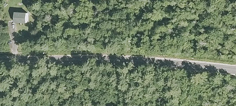 28.8 Acres of Untouched Land