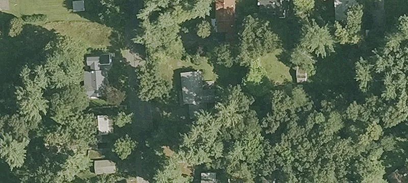 Amherst Land in Bemis Woods