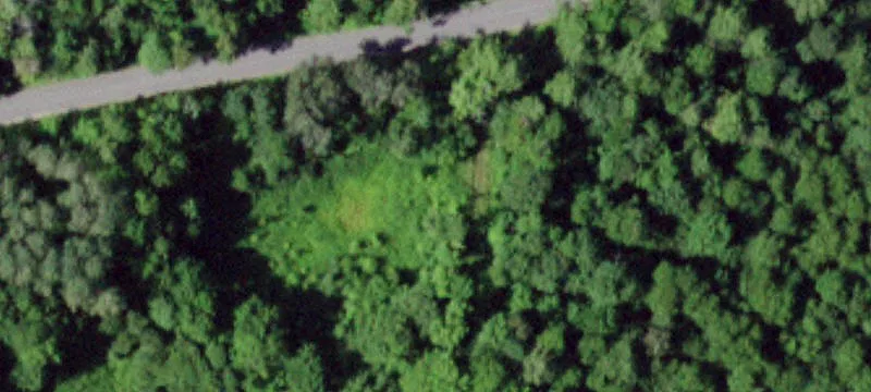 Cabin on Wooded Acreage