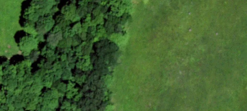 Hartsville Land for Hunting/Campsite