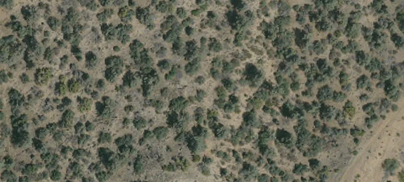 Residential Land in Established Neighborhood