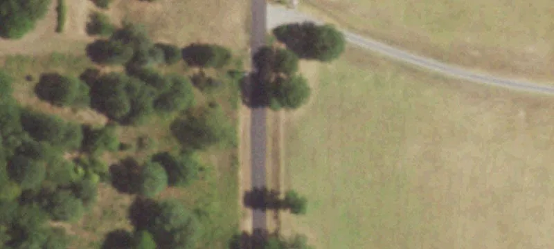 Luxury Estate on 300 Acres