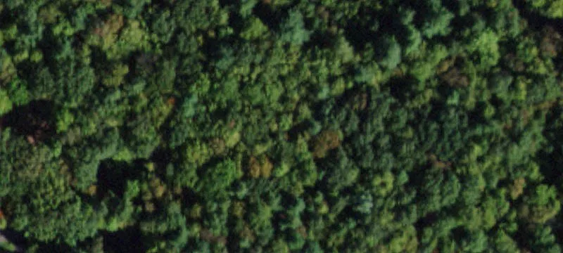 Residential Land in Binghamton, NY