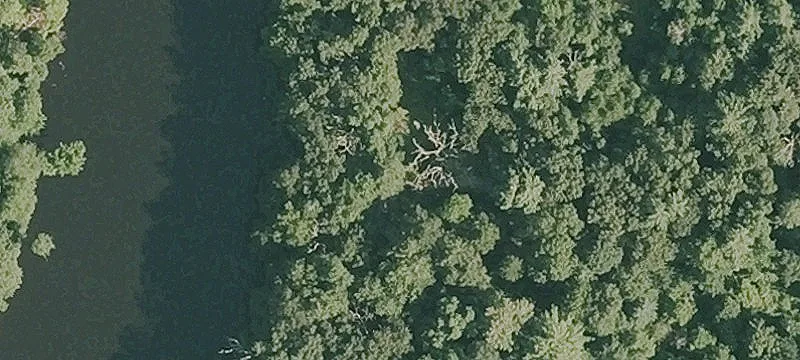 98 Acres with River Frontage