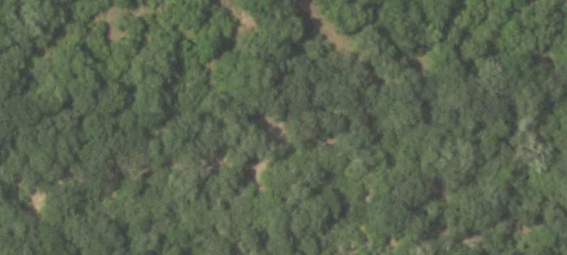 Land in Wild Wing Preserve