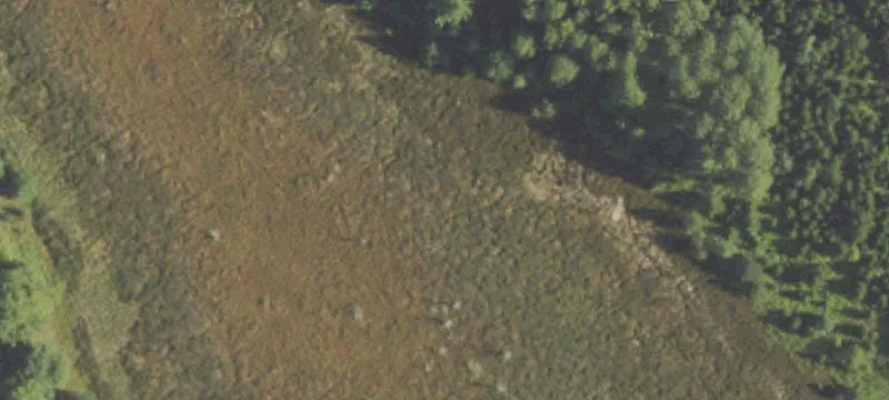 Secluded Northern Michigan Hunting Land
