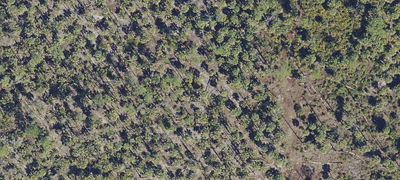 Alligator Alley Land Opportunity