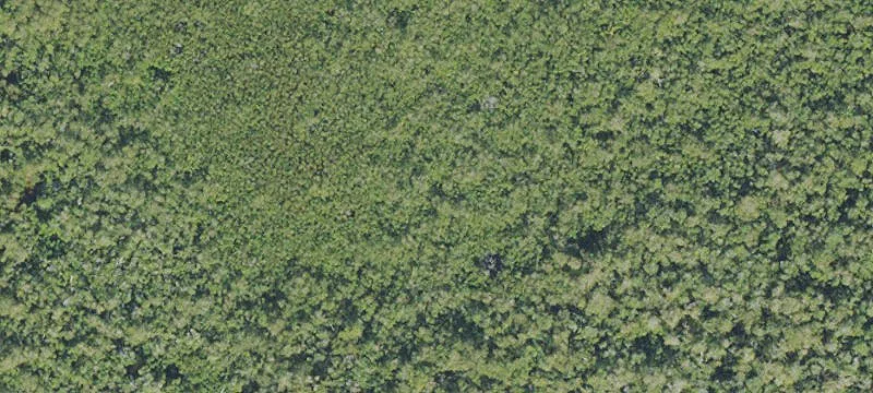Residential Lot in Everglades City