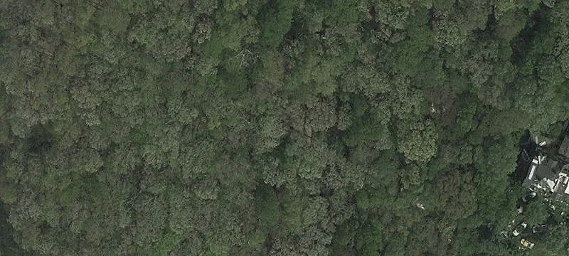Expansive Land with Development Potential
