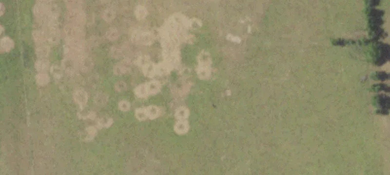 Unencumbered Land with Pastures