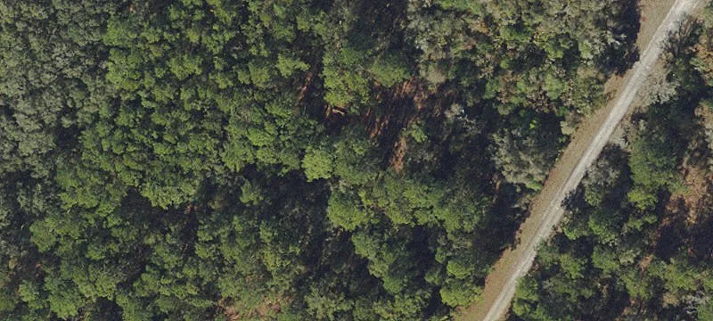 Cleared Lot with Barndominium Blueprints