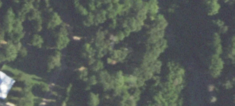 Wooded Lots in Conroe