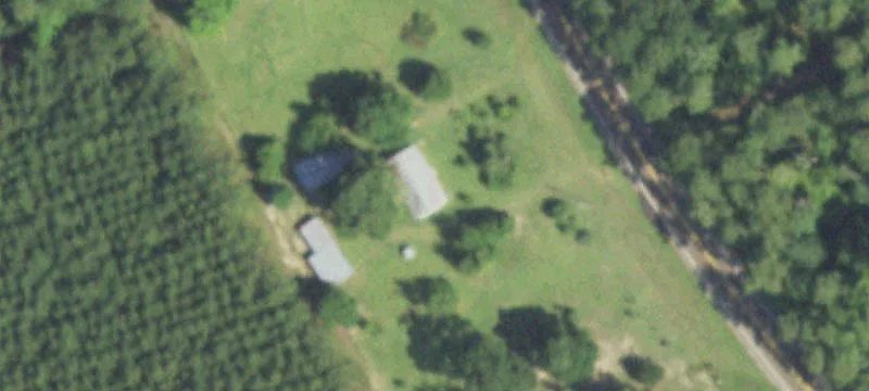 38+ Acres Tree Farm