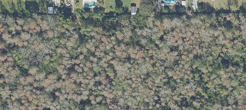 Commercial Land For Sale