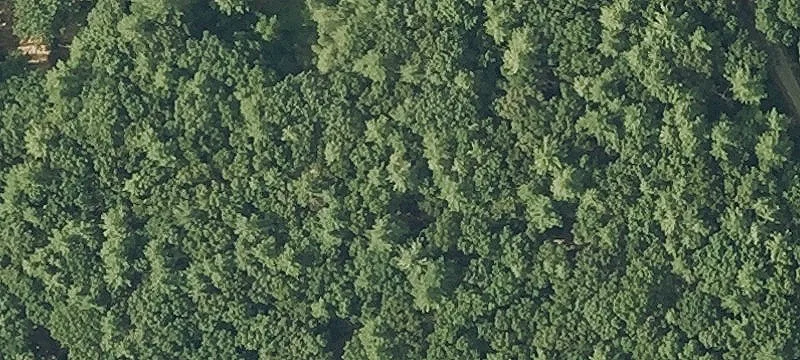 14.43 Acres Wooded Land