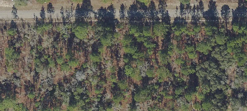 Land for Dream Job