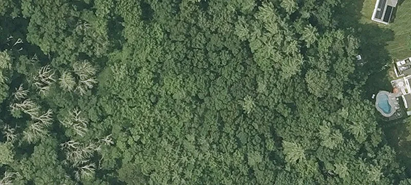 Serene Wooded Subdivision Land Opportunity