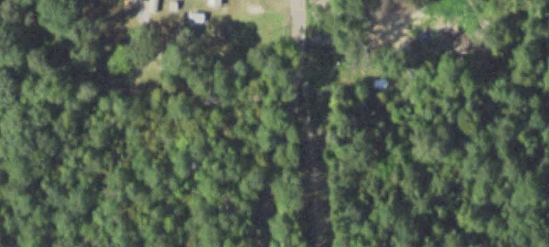 Land with Timber Exemption