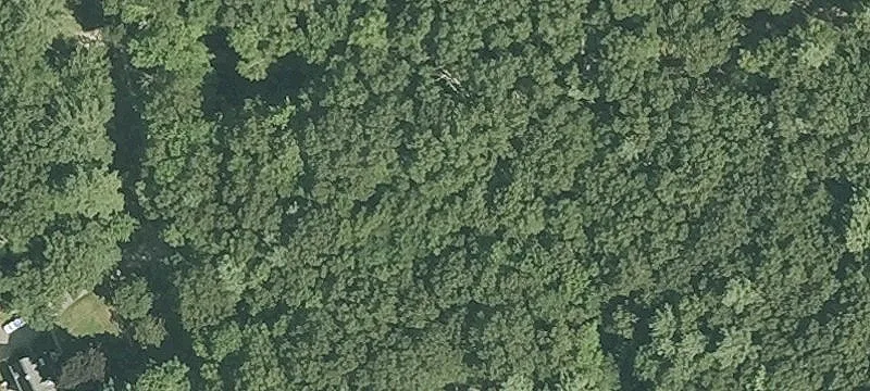 Land with Pond Frontage