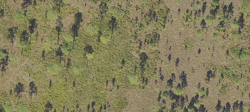 Residential Land for Development