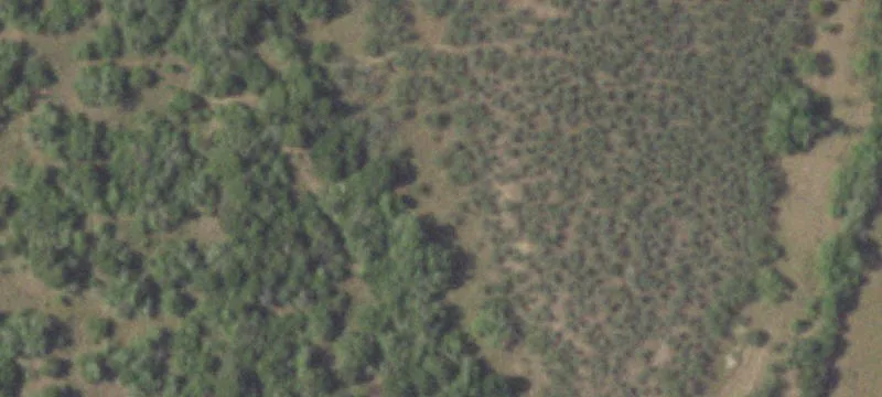 Prime Development Land Near Sealy
