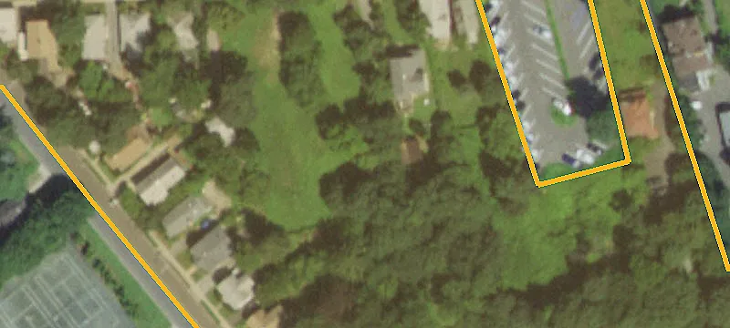 Oversized Lot in Great Neck
