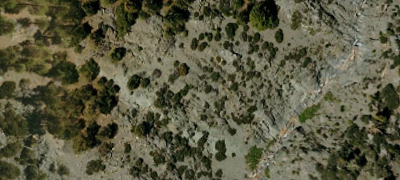 Mt Baldy Specialty Property