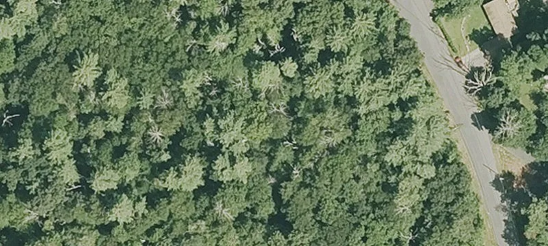 Beaver Lake Land for Sale