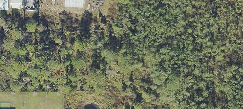 Apopka Land For Sale