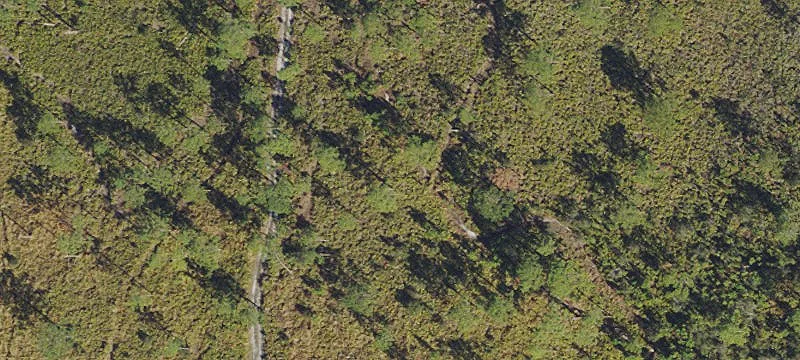 Residential Land in Sebring
