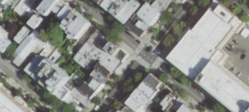 New York Specialty Property