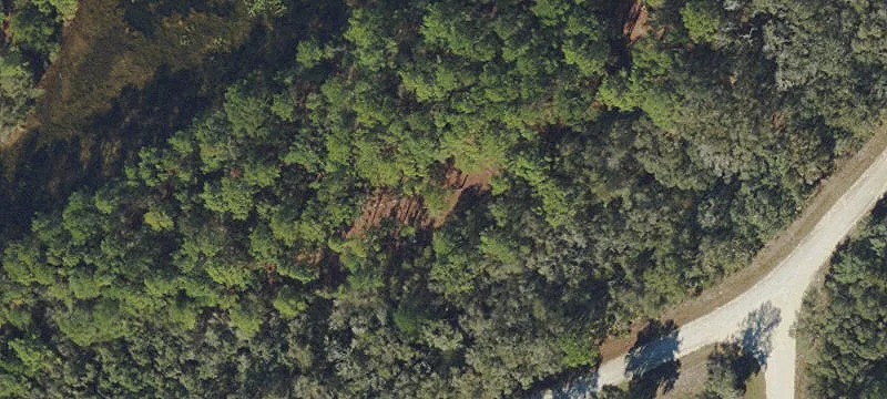 Wooded Lot on Long Lake