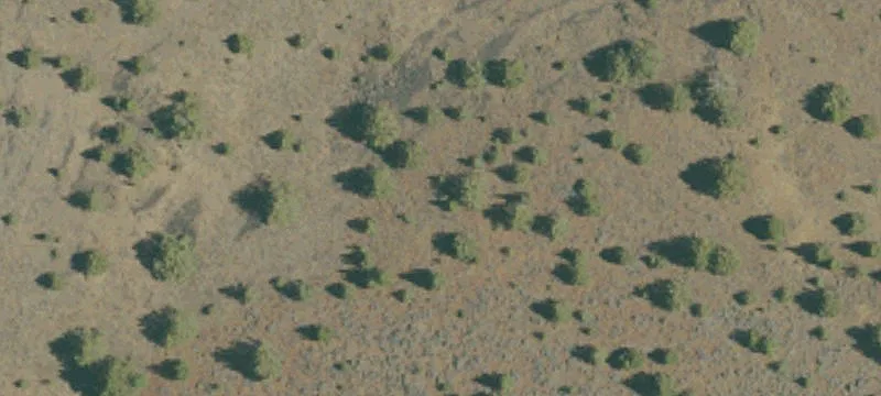 320 Acres of Agricultural Land