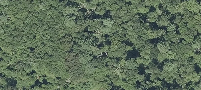 Rehoboth Land for Dream Home