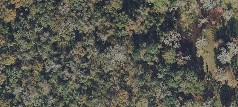 Lakefront Wooded Acreage Opportunity