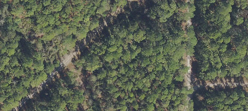 Cleared Lot in Paradise Lakes