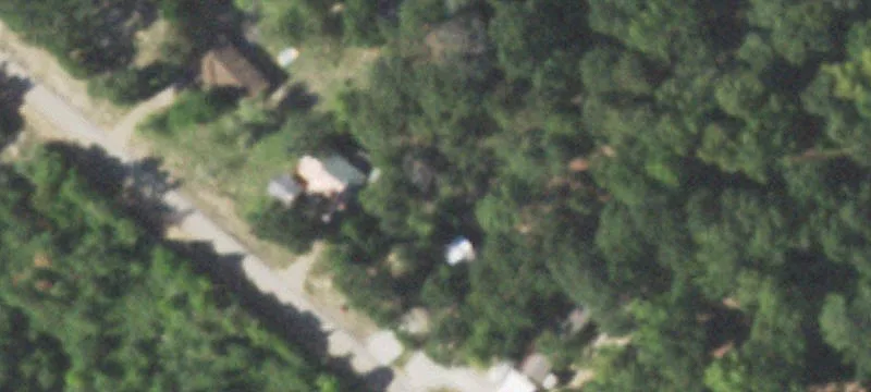 Forested Land on County Road