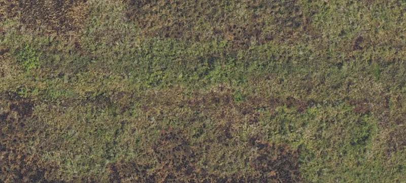 Commercial Land Near I-95